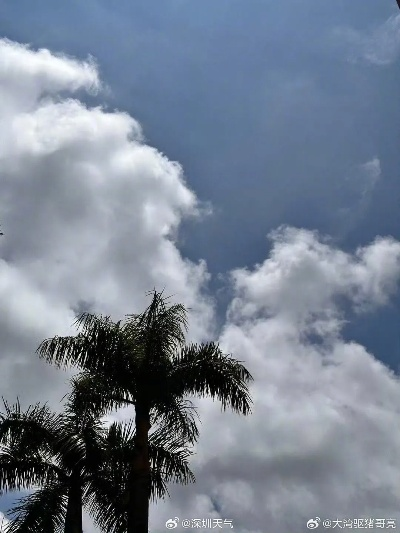 深圳今日天气（深圳今日天气情况）