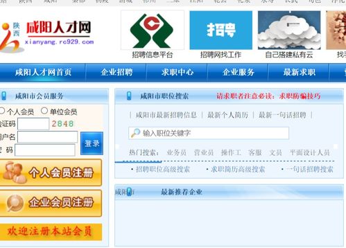 招聘网（招聘网址）