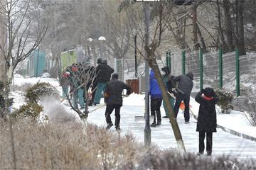 黑龙江伊春天气(黑龙江伊春天气怎么样) 黑龙江伊春天气(黑龙江伊春天气怎么样)