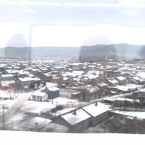 去哈尔滨看雪最佳时间（去哈尔滨看雪最佳时间是几点）