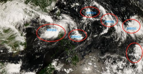 中国唯一没有台风的地方（中国唯一没有台风的地方在哪里）