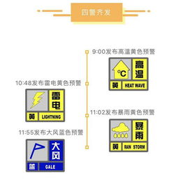 上海精准天气10天(上海10天天气趋势图) 上海精准天气10天(上海10天天气趋势图)
