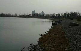 海宁天气预报（海宁天气预报一周）