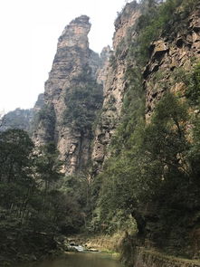 湖南长沙天气（湖南张家界景区天气）