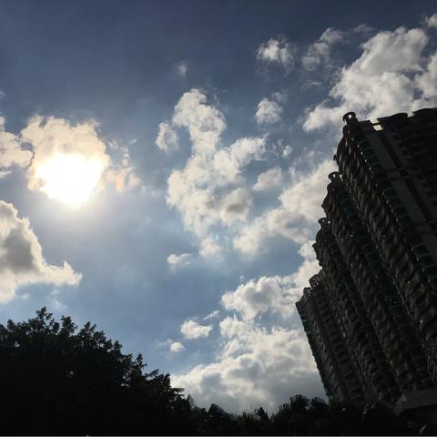广州天气情况（上周广州天气情况）