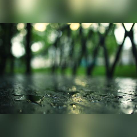 贵州未来15天天气预报(贵州未来15天天气预报穿衣指数) 贵州未来15天天气预报(贵州未来15天天气预报穿衣指数)