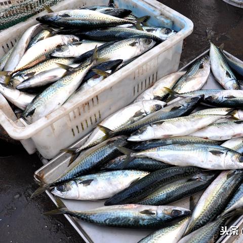 浙江宁波天气（浙江舟山天气）