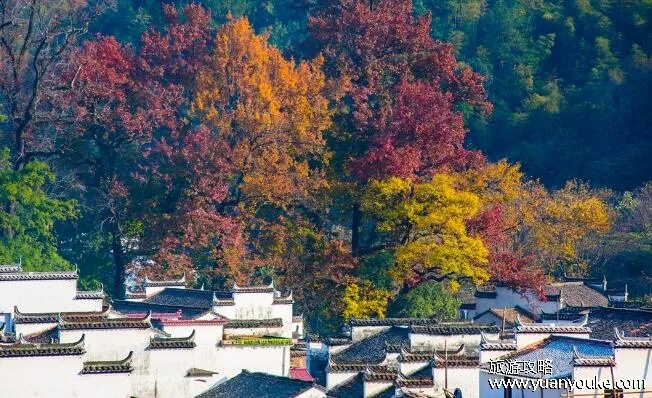 江西婺源天气30天(江西婺源几月份去最好) 江西婺源天气30天(江西婺源几月份去最好)