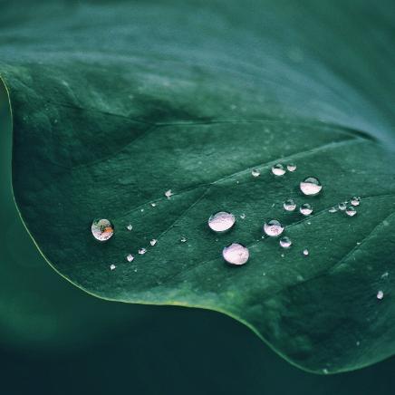 南通一周天气(南通一周天气预报七天查询) 南通一周天气(南通一周天气预报七天查询)