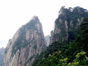 黄山天气预报(黄山天气预报15天景区山顶) 黄山天气预报(黄山天气预报15天景区山顶)