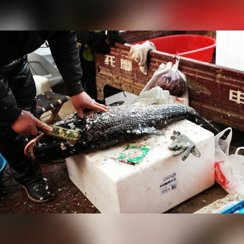 今明后3天天气（明后两天天气温度）