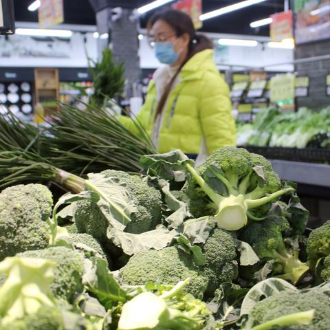 苏州未来15天穿什么衣服（苏州未来15天气怎么样）